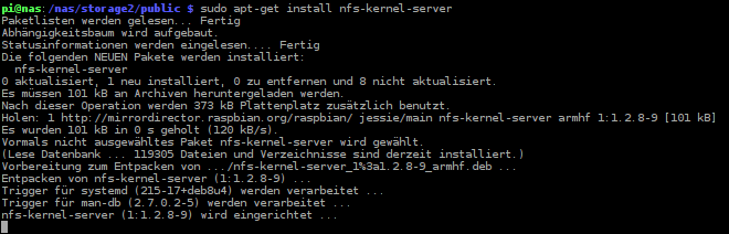 Raspberry Pi NAS NFS Server