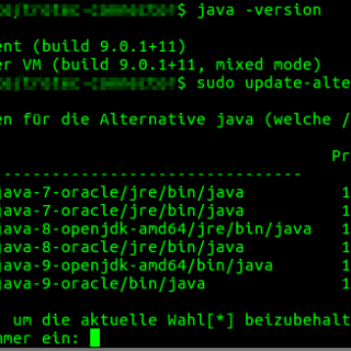 Java Version downgrade