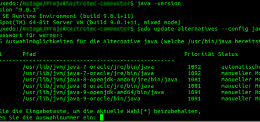 Java Version downgrade