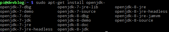 apt-get install openjdk 9